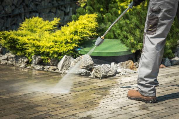 Best Animal Enclosure Cleaning  in Santa Nella, CA